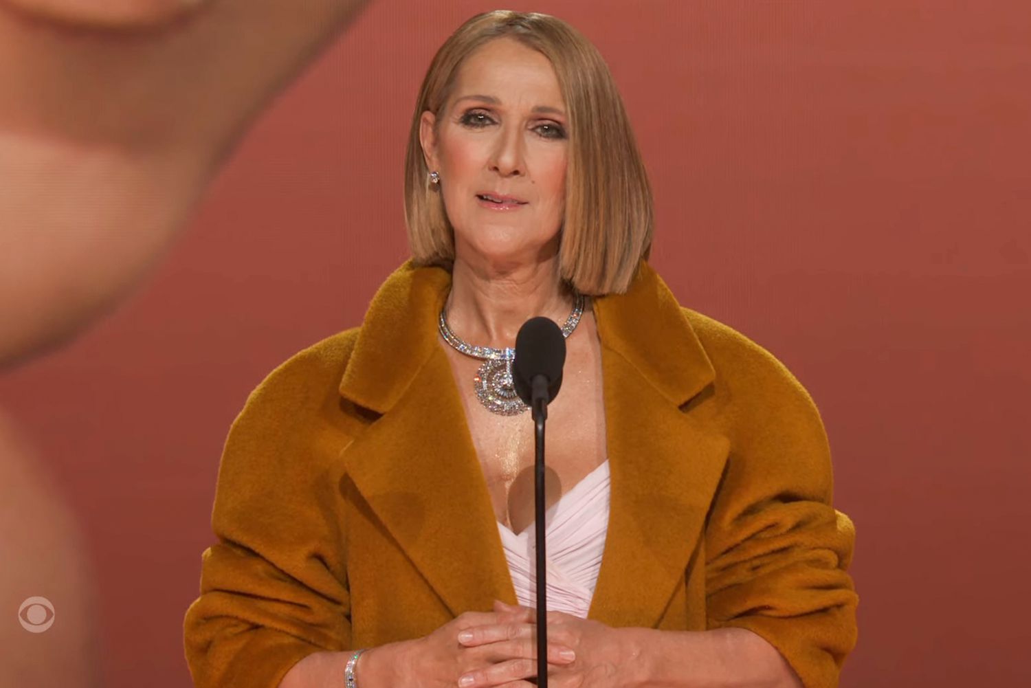 Celine Dion: Εμφάνιση – έκπληξη στα βραβεία Grammy