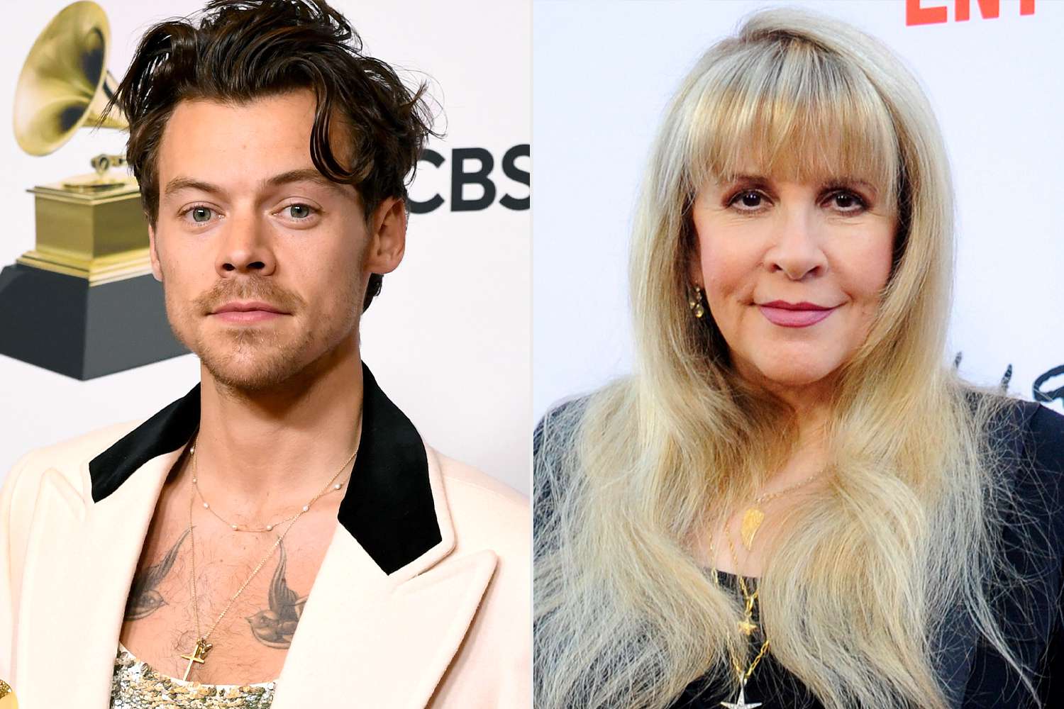 Harry Styles: Guest star στο πλευρό της Stevie Nicks